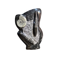 Vente en gros : Spécimen fossile d'Orthocéras de haute qualité, plaque d'ammonite, plaque de calmar, pièce sculptée en forme d'hexagone, cristal taillé