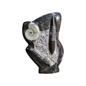 Vente en gros : Spécimen fossile d'Orthocéras de haute qualité, plaque d'ammonite, plaque de calmar, pièce sculptée en forme d'hexagone, cristal taillé - Product Image 3