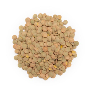 Lentilles vertes fraîches en gros, qualité supérieure, stock pour commandes B2B de grande quantité - Product Image 2
