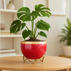 Petits pots de fleurs décoratifs rouges et dorés pour plantes d'intérieur, succulentes, cactus, petites plantes vertes, décoration de la maison - Product Image 1