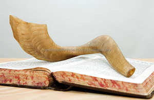 Sobresaliente Kosher Kudu Shofar de Israel Clásico Medio Pulido Cuerno Tallado Ángel Estilo Religioso - Product Image 2