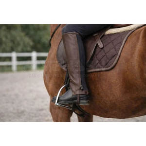 Protectores de Piernas de Cuero para Caballos, con Correa Ajustable, para Entrenamiento al Aire Libre - Product Image 2
