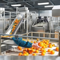 Post-harvest verwerkingslijn voor groenten en fruit met een capaciteit van 1-3 ton/uur, 380V, 200kg gewicht, voor optimale voedselverwerking