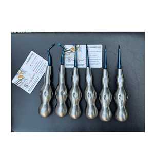 Juego de Elevadores Dentales de Acero Inoxidable Negro y Dorado, Elevadores Dentales Dentados y de Lucentización para Extracción de Dientes, ¡Venta Caliente! - Product Image 2