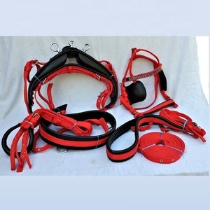 Conjunto de Brida y Riendas de Nailon para Caballo de Alta Calidad y Durabilidad, Venta al por Mayor, Impermeable, Color y Tamaño Personalizables, Estilo de Silla de Montar Inglesa - Product Image 5