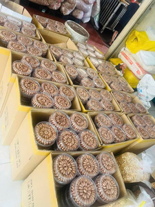 เม็ดมะม่วงหิมพานต์อบแห้งออร์แกนิกจากเวียดนาม-ธรรมชาติ 100% ไม่มีสารเติมแต่ง-ขนมโปรตีนสูง-เกรดพรีเมียม จำหน่ายส่งออกทั่วโลก - Product Image 4