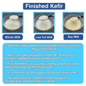 Cultivos iniciadores de kéfir japonés de primera calidad para microbioma, digestión, piel suave, superventas en Japón - Product Image 4