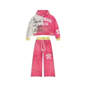Ensemble sweat à capuche rose color block pour homme, style streetwear, imprimé, en molleton bouclette, pour l'automne, avec logo et pantalon à cordon de serrage - Product Image 1