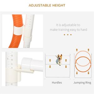 Équipement d'entraînement d'agilité pour chiens pour un entraînement canin efficace - Product Image 4
