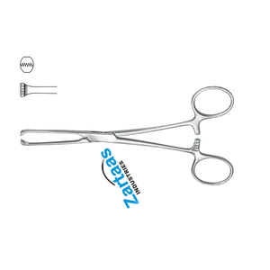 Pinces à tissus intestinaux Allis en acier inoxydable de haute qualité, 5x6 dents, 19 cm – Fabricant et exportateur d'instruments chirurgicaux - Product Image 2