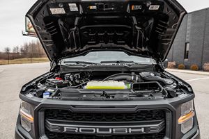 Ford F-150 Rush 4x4 Pick-up d'occasion en parfait état – Livraison mondiale - Product Image 4