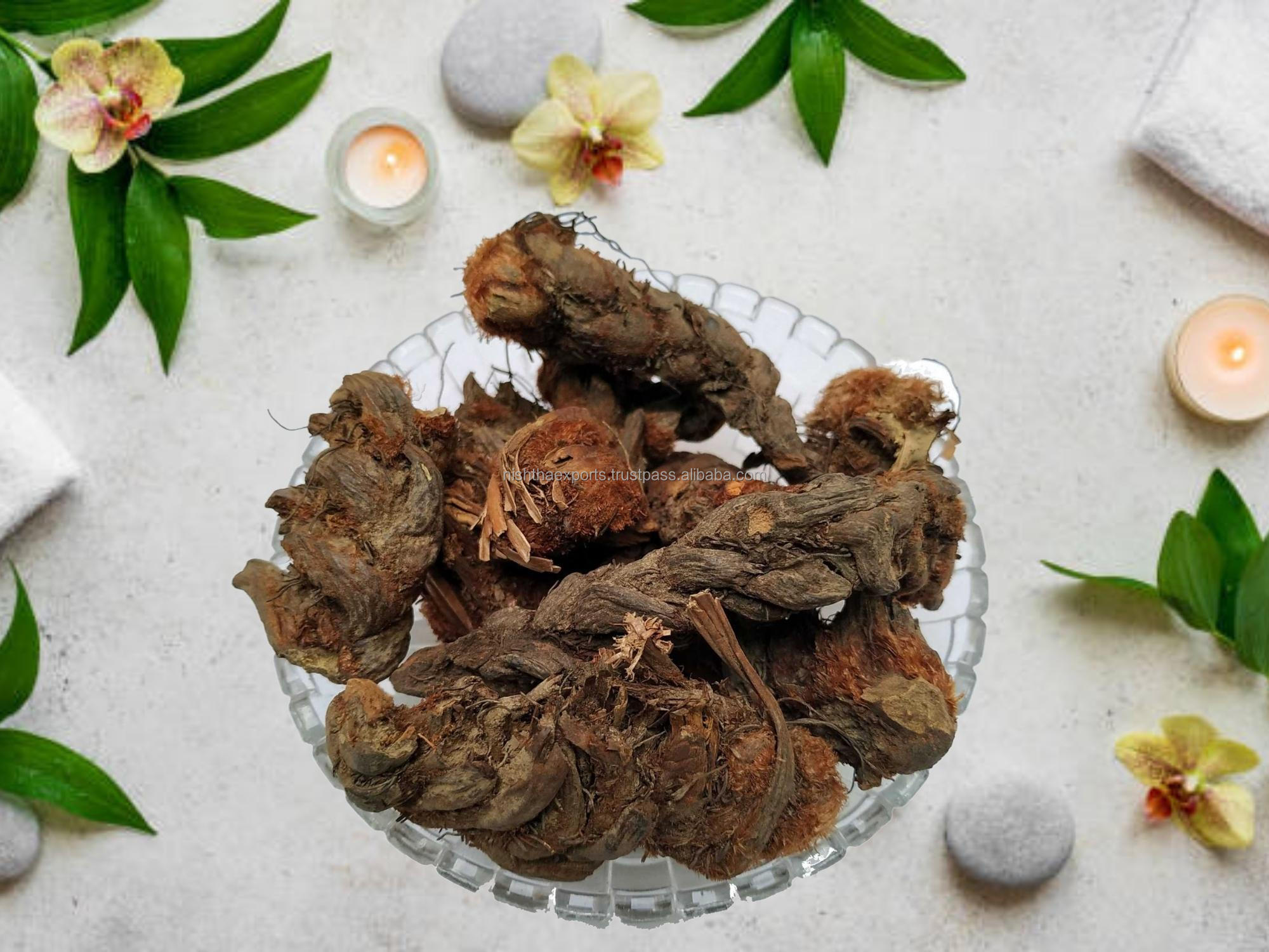 dendrocalamus sinicus plant