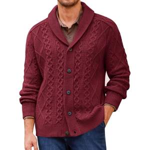 2025 hommes col châle Cardigan pull câble tricoté boutonné vêtements d'extérieur avec motif à carreaux et lettre pour l'automne hiver - Product Image 5