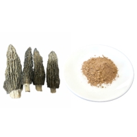 Boisson santé à base de poudre de champignons morilles