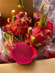 La fruta de dragón de pulpa blanca de alta calidad tiene hermosos colores y proporciona fibra saludable - Product Image 4