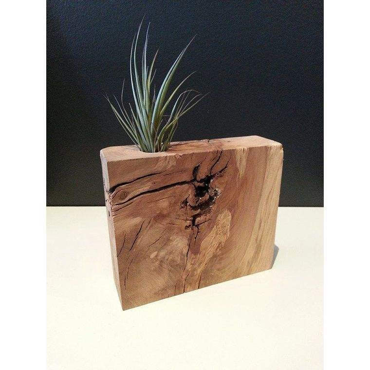 ธรรมชาติ