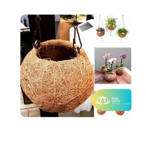[VENTE CHAUDE] |   Pot en fibre de coco pour le démarrage de semis et la culture de jeunes plantes en pépinière et à domicile pour le Vietnam - Product Image 1