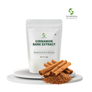 Extracto de Canela de Primera Calidad, Suministro a Granel para Fabricantes Globales y Soluciones de Producción de Ingredientes Industriales - Product Image 1