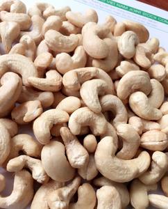 HOT DIRECT HIGH QUALITY BEST SELLER VIETNAM ORGANIC CASHEW NATURAL WHITE SUPER QUALITY W320 W240 W180 WHOLESALES - Product Image 1