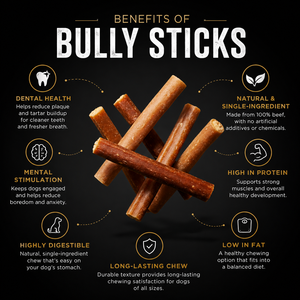 แท่งเนื้อวัวธรรมชาติสำหรับสุนัข ขนมเคี้ยวเพื่อสุขภาพช่องปาก ช่วยดูแลสุขภาพฟันและตอบโจทย์การเคี้ยวทุกวัน รับผลิตแบบ OEM ODM - Product Image 5