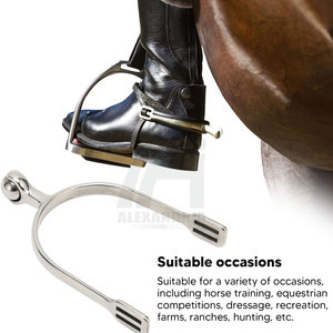 Espuelas de Acero Inoxidable para Caballos de Estilo Western, Espuelas Inglesas de Acero Inoxidable con Goma Suave de Alexandria Industries - Product Image 3