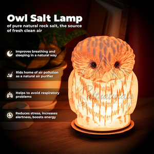 Lámpara de Sal del Himalaya Esencial para una Vida Acogedora, Ambiente Cálido, Hermosa Lámpara de Sal del Himalaya - Product Image 5
