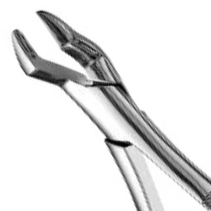 Pinzas de Extracción de Molares Superiores 10S, Instrumento Quirúrgico Dental de Acero Inoxidable, Herramienta Dental Dentada para Extracción de Dientes - Product Image 4