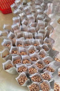 เม็ดมะม่วงหิมพานต์ดิบออร์แกนิกคุณภาพสูงขายส่ง - ส่งตรงจากโรงงานในเวียดนาม แบรนด์ IIGLOBAL FARM เกรดพรีเมียม อายุการเก็บรักษา 12-24 เดือน - Product Image 6
