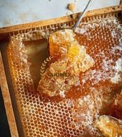 Gâteau en nid d'abeille frais délicieux 500g gâteau en nid d'abeille en gros 100% miel pur cru sans ingrédients de sucre directement du Vietnam