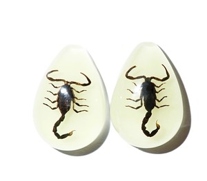 Cabochon Black Scorpion Pear Shape Cut <b>Top</b> 25x17 mm Glow Flat Bottom for Crafts and Jewelry Making - Product Image 1
