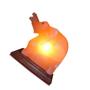 Lámpara de Sal del Himalaya en Forma de Elefante Hecha a Mano, Artesanía Natural de Pakistán, Estilo Animal, Tamaño Personalizado para el Hogar - Product Image 6