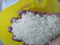 Arroz Japonés de Grano Corto de Alta Calidad, Arroz Premium para Sushi, Grado Oshin, Blanco, Textura Suave, 5% de Grano Partido, Proveedor B2B al por Mayor, 14%