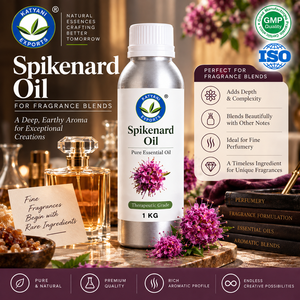 Suministro al por Mayor de Aceite Esencial de Spikenard, Aceite de Raíz de Nardostachys Jatamansi para la Industria de Cosméticos y Fragancias B2B - Desde India - Product Image 5