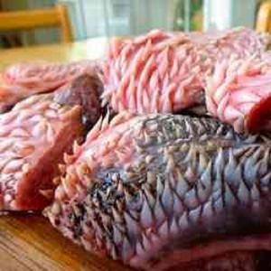 Lèvres de bœuf halal congelées en gros, produits carnés de bœuf de haute qualité, lèvres de bœuf en vrac pour importateurs et commerçants de viande - Product Image 4