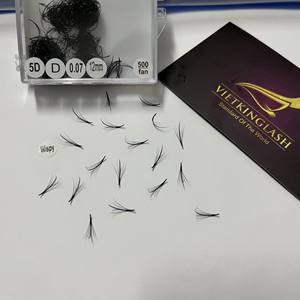 Extensions de cils individuels préfabriqués à base pointue, effet wispy, volume fait main, noir naturel DD pour faux vison, marque privée - Product Image 1