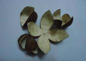 Cáscara de limón seca de alta calidad de Vietnam para exportación con el mejor precio al por mayor - Product Image 2