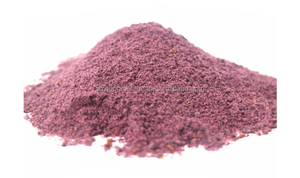 ผงสารสกัดจากมัลเบอร์รี่จากบราซิล - Product Image 1