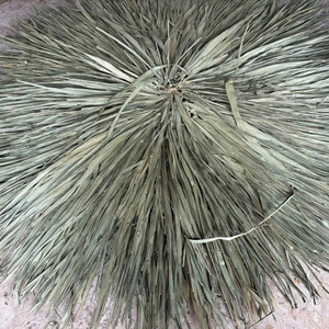 Parasol pliable en chaume naturel 1,8 m, matériau écologique pour la décoration de stations balnéaires en provenance du Vietnam - Product Image 1