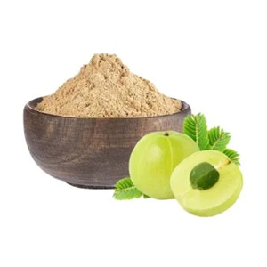 Poudre de fruit d'Amla en vrac, ingrédient alimentaire naturel pour la transformation alimentaire commerciale - Product Image 2