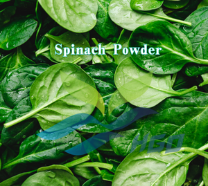 HGO Suministro Directo de Fábrica de Polvo de Espinaca Pura Natural (Grado Alimenticio) Especificación Polvo Vegetal (Polvo de Fruta Liofilizado) - Product Image 2