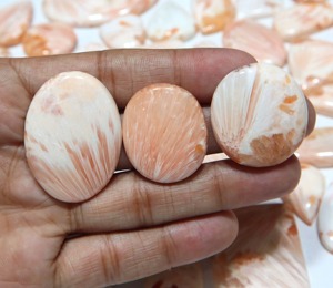 Scolecite rose naturelle, cabochon, pierres précieuses de formes variées, toutes tailles, pierres lisses en vrac, fournisseur grossiste pour la bijouterie - Product Image 4
