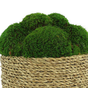 Decoración moderna de plantas artificiales de musgo en maceta grande de hierba de fresa Diseño interior llamativo - Product Image 6