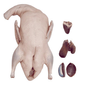 High Standard Halal Frozen Duck Export Ready Duck <b>Meat</b> for Retail and Food Service Industry - Product Image 5