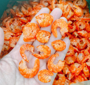 Camarones Vannamei Secos de Primera Calidad para Exportación, Vietnam, Sin Cabeza ni Piel, Bolsas de 10 kg para Distribuidores y Minoristas de Mariscos al por Mayor - Product Image 3