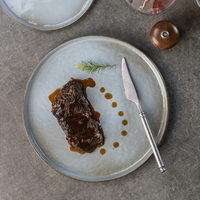 Assiettes de Présentation en Porcelaine Grise Yayu pour Sushi, Steak et Plats d'Accompagnement – Vente Directe Usine, Vente en Gros pour l'Europe
