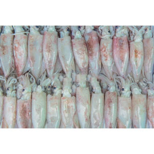 Compre Calamar Congelado Entero de Alta Calidad a Precios Accesibles al por Mayor con Descuentos para Importadores y Distribuidores de Mariscos - Product Image 5