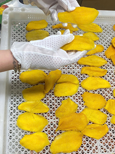 มะม่วงอบแห้ง มะม่วงธรรมชาติ ผลไม้อบแห้ง ขนมขบเคี้ยวสำหรับร้านเครื่องดื่ม ใช้เป็นท็อปปิ้ง รสหวานหนึบ สไตล์ทรอปิคอล ผลิตจากเวียดนาม - Product Image 3