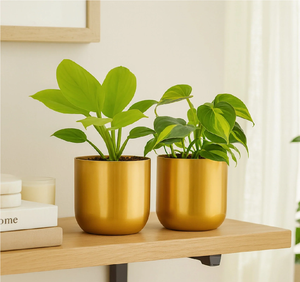 Brass Flower Pot Gold Finish Indoor Planters for <b>Desktop</b> Decoration Indian Hot Seller Brass Planters and Pots - Product Image 4