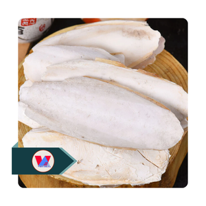 Hueso de Sepia Blanco Marfil de 15 kg, a Granel, Sin Recortar, Seco, para el Cuidado del Pico de Aves y Loros, Fuente de Calcio - Product Image 1