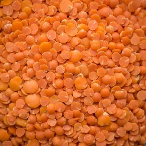 Lentilles vertes fraîches en gros, qualité supérieure, stock pour commandes B2B de grande quantité - Product Image 5